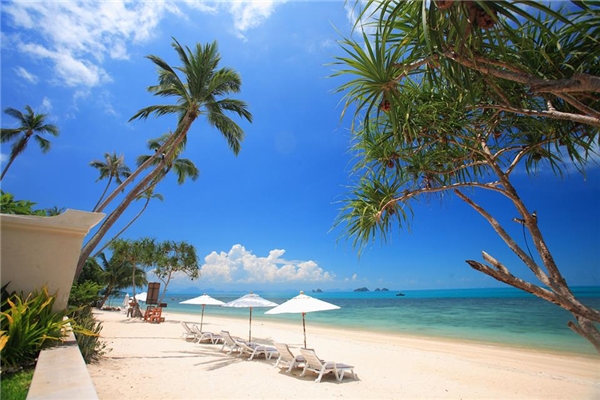 Đảo Koh Samui có những bờ cát trắng trải dài, nước trong xanh như pha lê và trở nên lấp lánh dưới ánh nắng chói chang của mặt trời và những bãi san hô đủ màu sắc hấp dẫn cả những du khách khó tính nhất. (Ảnh: Internet)