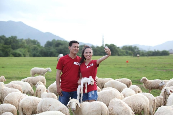 Không chỉ khiến giới trẻ “đứng ngồi không yên”, cánh đồng cừu ở Suối Nghệ còn là địa điểm chụp ảnh cưới lí tưởng thu hút nhiều cặp đôi tìm đến.