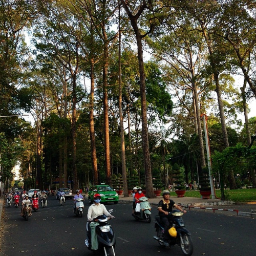 Không gian xanh: Theo James, mặc dù Sài Gòn không có nhiều công viên, thành phố này vẫn xanh mát và xinh đẹp với sự hiện diện của những hàng cây cổ thụ dọc các con phố tại khu vực trung tâm. Ảnh: James C.