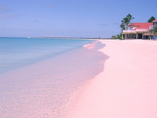 Bãi biển Pink Sands tại Bahamas. Ảnh: placestoseeinyourlifetime.com -  ChuduInfo