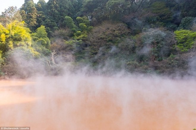Bao quanh Beppu là cảnh núi rừng chuyển sắc vàng mỗi độ thu sang, lý tưởng cho những bức ảnh đẹp.