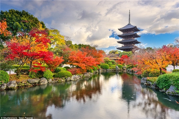 Chùa Toji tại Tokyo, Nhật Bản đẹp như tranh vẽ với những tán cây lá đỏ rực rỡ xung quanh.