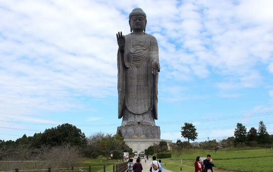 Đại tượng Phật chia thành 3 phần: phần đế cao 10 m, phần đài sen cao 10 m và chiều cao của tượng Phật là 100 m. 