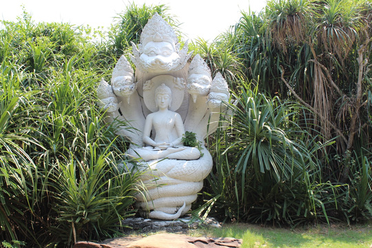 Tượng Đức Phật được bảo vệ bởi thần Naga bảy đầu 