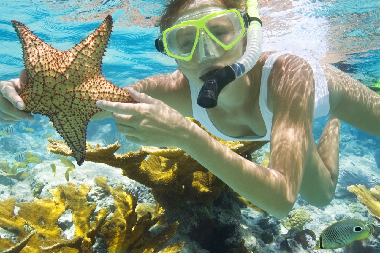 Du khách có thể lặn ngắm san hô (Nguồn dulichvietnam)