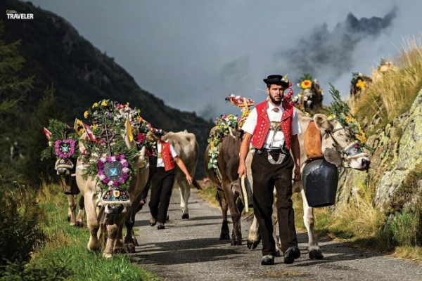 Lễ hội Désalpe ở Canton Uri, Thuỵ Sỹ đánh dấu sự kiện đàn gia súc xuống núi vào mùa thu hàng năm.