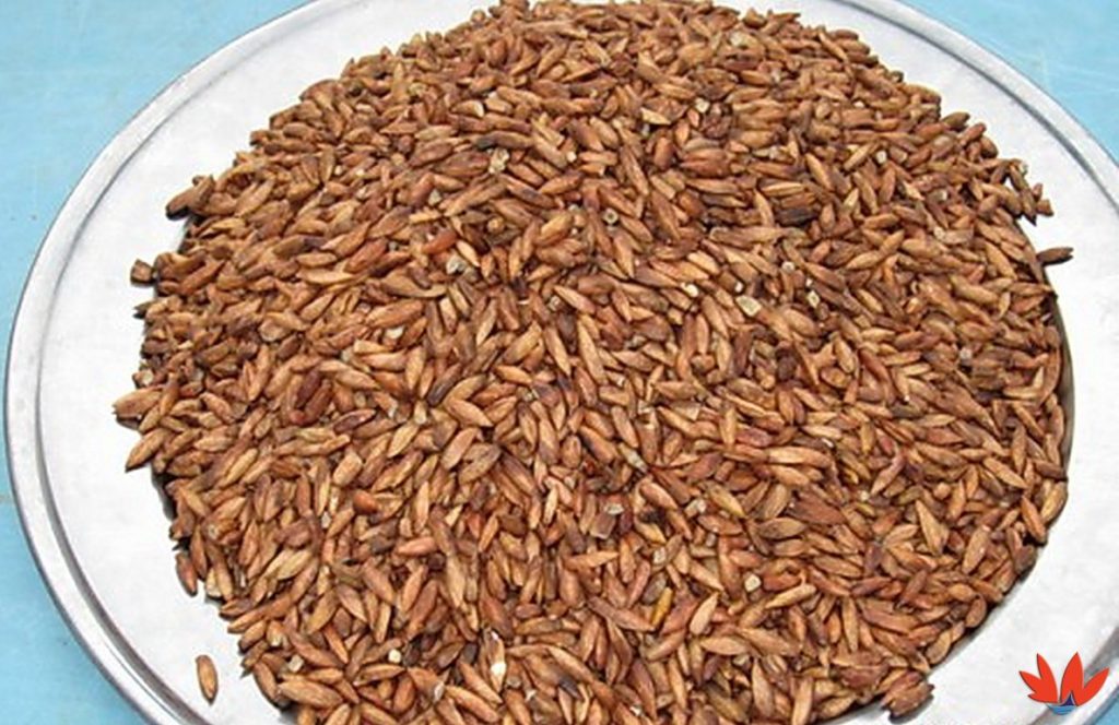 Mứt hạt bàng - đặc sản Côn Đảo