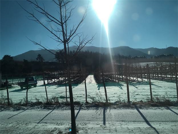 Tuyết trải trắng xóa trên Gangwon. 