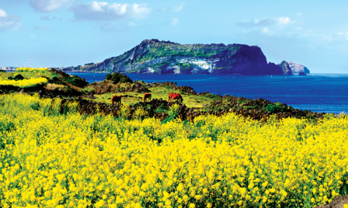 Đảo Jeju (Hàn Quốc): nơi đây luôn thu hút du khách và trở thành địa điểm du lịch mơ ước của nhiều người. Jeju quyến rũ với Yongduam - bãi biển nổi tiếng có tảng đá đầu rồng, con đường ma quái, công viên Tình Yêu, đỉnh Seongsan Ilchulbong, làng dân tộc Seongeup, thác Cheonjiyeon… Đối với người Hàn Quốc, hòn đảo Jeju xinh đẹp là lựa chọn không thể bỏ qua cho tuần trăng mật hay những kỳ nghỉ đầm ấm bên gia đình.