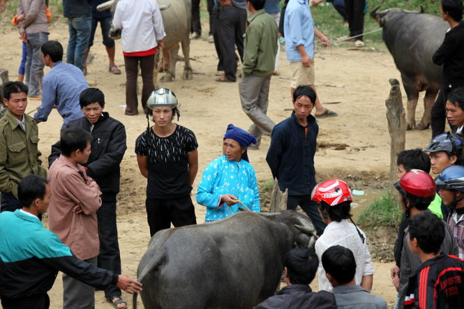 Một phụ nữ Mông trong phiên chợ trâu - Ảnh: Giang Nguyên 