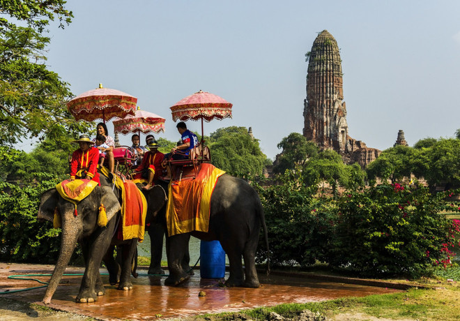 Thái Lan còn có một đặc sản khác là những chú voi. Những chú voi ở Phra Nakhon Si Ayutthaya đang chở đoàn khách đi thăm khu di tích.