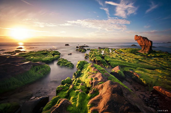 Bình minh và rêu đá trên bãi biển Cổ Thạch - Ảnh: Cao Cat 