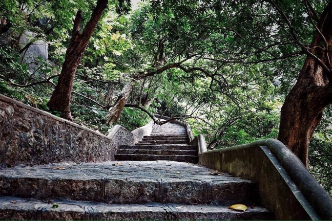 Bậc thang dẫn tới chùa Am Tiên nơi Thái Hậu Dương Vân Nga từng tu hành, để đến được động phải leo qua 205 bậc đá. Nơi đây được cây xanh phủ kín, quanh năm xanh mát. (ảnh Phi Ba Tơ)
