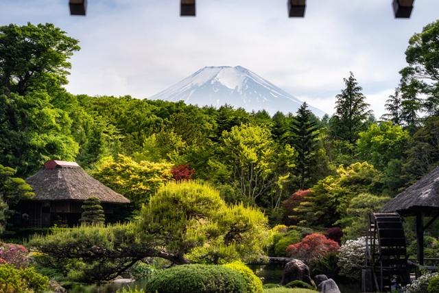 Ngôi làng cổ Oshino Hakkai toát ra từ vẻ đẹp dịu dàng của những mảnh vườn.