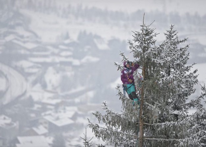 Một khán giả đi xem cuộc đua thể thao ở Kitzbühel, Áo. Do bị cản trở tầm nhìn, anh quyết định leo lên cây để theo dõi. Ảnh: Artur Widak. 