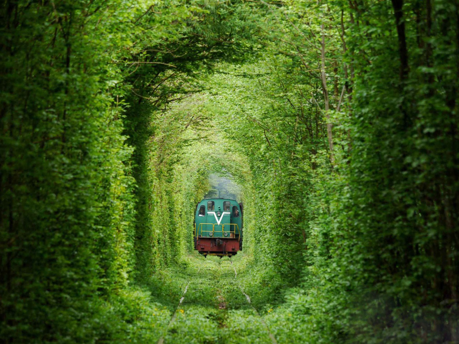 Tàu lửa chạy xuyên qua đường hầm tình yêu.