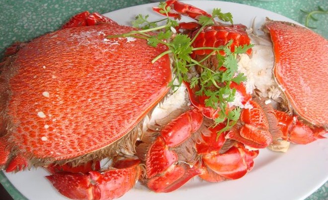 Cua Huỳnh Đế - một trong những hải sản mắc tiền ở Quảng Ngãi