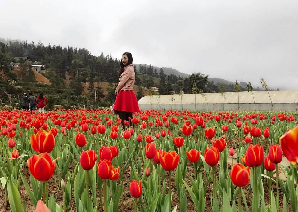 Nhiều bạn trẻ tạo dáng chụp ảnh tại vườn hoa tulip đang khoe sắc rực rỡ.
