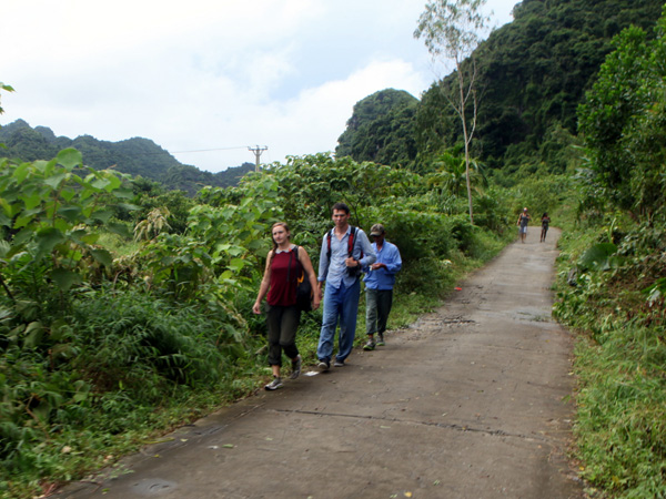 Bạn có thể đi tản bộ hay đi xe đạp dọc các cung đường mòn vào sâu bên trong rừng nhiệt đới.