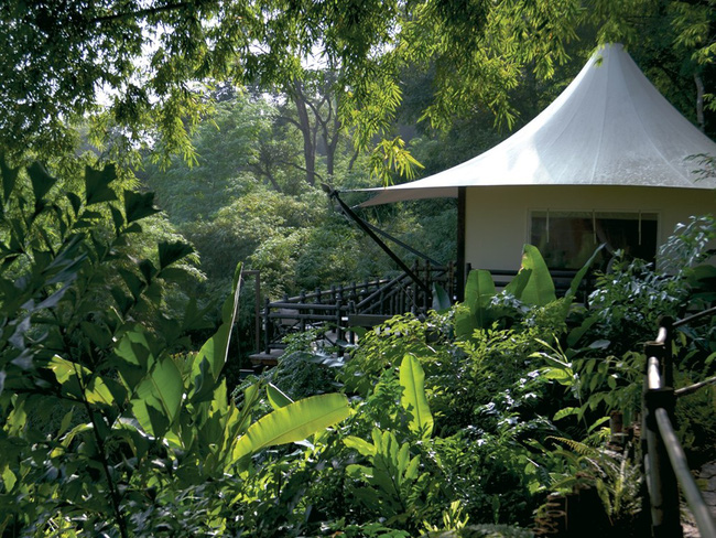 Four Seasons Tented Camp Golden Triangle (Chiang Rai, Thái Lan): Ngoài nghỉ ngơi và tận hưởng dịch vụ tốt, tại Four Seasons Tented Camp Golden Triangle, du khách còn được tham gia thám hiểm khu rừng bên cạnh với nhiều loài động thực vật quý hiếm.