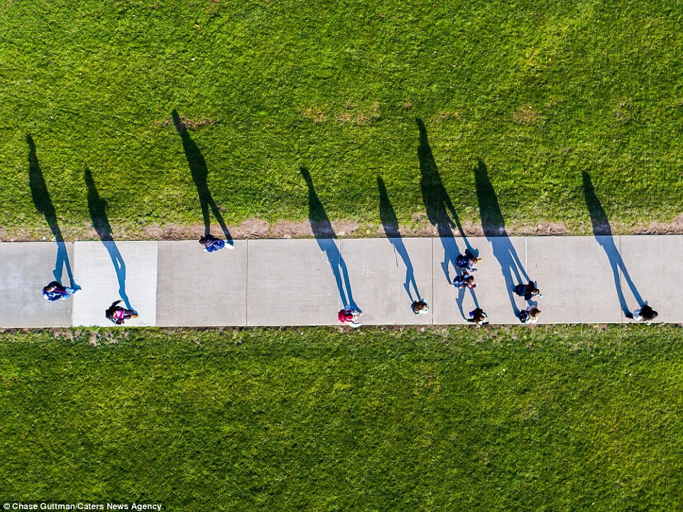 Những chiếc bóng trải dài của người đi bộ trên mặt cỏ tại Eastside, Syracuse, New York. 