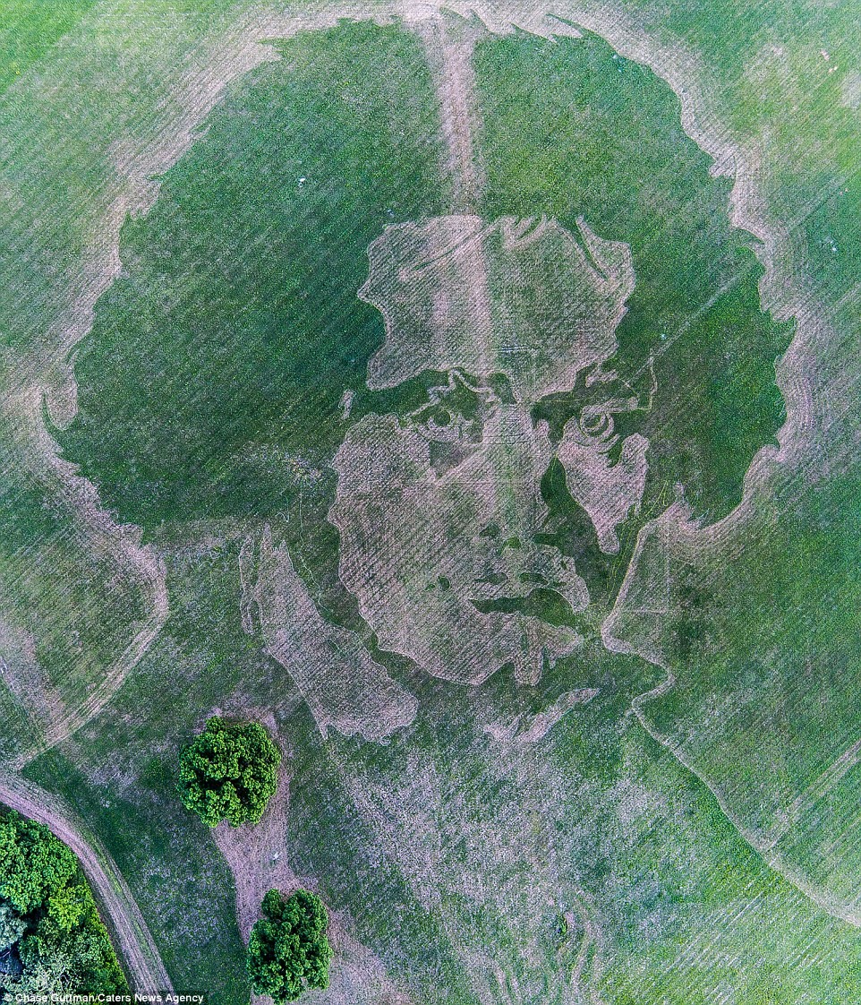 Bức chân dung Ludwig van Beethoven được cắt tỉa tỉ mỉ trên bãi cỏ rộng gần 93.000 m2 ở Ellenville, New York. 