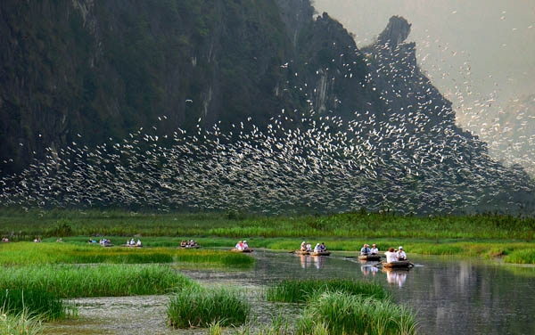 Khu bảo tồn thiên nhiên Vân Long là khu bảo tồn thiên nhiên đất ngập nước lớn nhất vùng đồng bằng châu thổ Bắc Bộ - nguồn internet. 