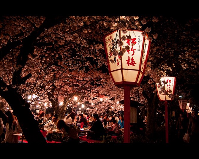 Vào dịp lễ hội Hanami, người Nhật thường tụ tập dưới những tán cây hoa anh đào nở rộ, tổ chức những bữa tiệc ngoài trời, ăn uống, trò chuyện và cùng nhau ca hát cả ngày lẫn đêm. 