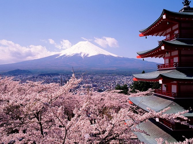 Hoa anh đào và núi Phú Sĩ là hai biểu tượng của nước Nhật. 