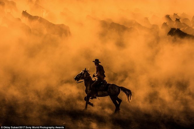 Tay máy Thổ Nhĩ Kỳ Oktay Subasi chụp ảnh người đàn ông cưỡi ngựa 
