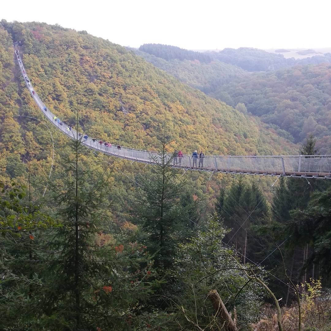 Nín thở đi qua cầu treo lơ lửng giữa núi dài nhất nước Đức @naturepics.official 