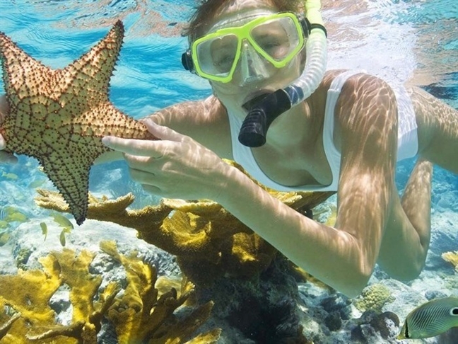Lặn ngắm san hô ở bán đảo Sơn Trà cũng là những trải nghiệm rất thú vị đối với du khách trong nước và quốc tế 