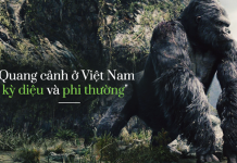 Đã có tour khám phá từ A-Z các điểm quay Kong: Skull Island ở Quảng Bình với mức giá khá mềm