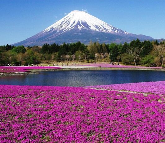 Cảnh đẹp thiên đường ở Nhật Bản qua 25 bức ảnh - ChuduInfo