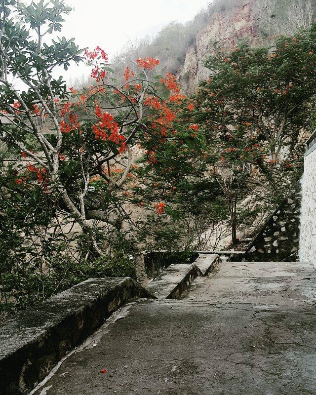 Chùa Quan Âm Các tọa lạc tại núi nhỏ, trên lối rẻ từ đường Trần Phú ( Bến Đá - Vũng Tàu ) đi vào. Ảnh: Đoàn Hoài Bắc on Instagram