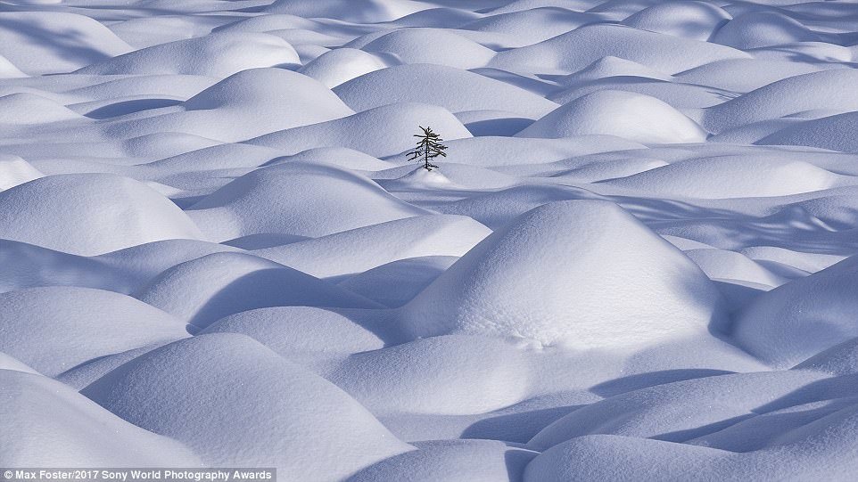 Tuyết trắng bao phủ các ngọn đồi nhỏ