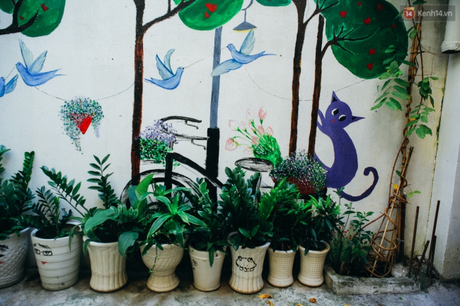 Không chỉ có vẽ tranh, trong các con hẻm còn được bổ sung những chậu cây xanh, biến những con hẻm đã cũ thành nơi thư giãn, vui chơi của biết bao người dân Sài Gòn. 