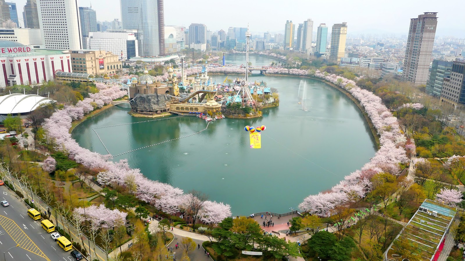 Hồ Seokchon rực rỡ sắc trắng hồng của hoa anh đào. Ảnh: Internet