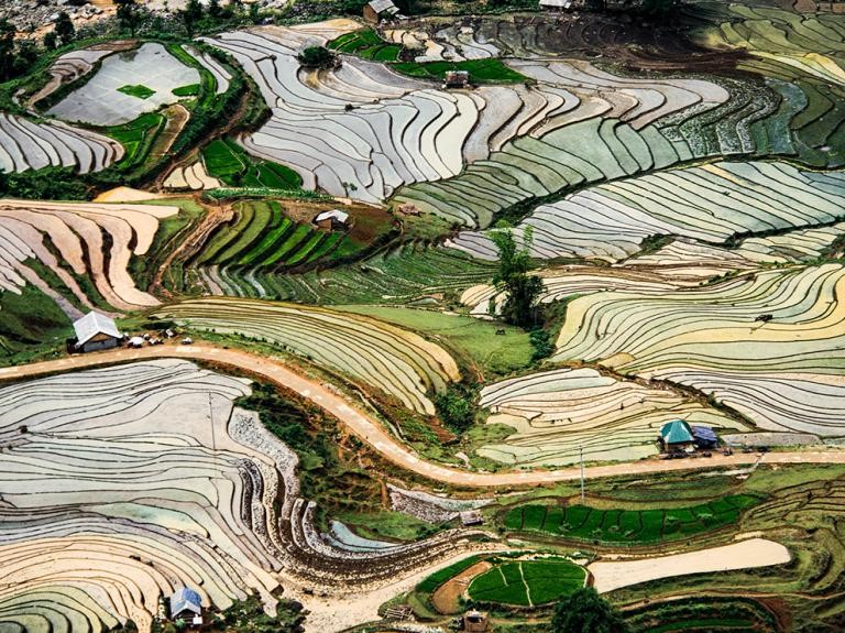 Nước ngập mang lại một bức tranh đầy màu sắc trên cánh đồng lúa ở Ý Tý, Bát Xát, Lào Cai. Mùa mưa thường kéo dài từ tháng 5 đến tháng 6 ở ngôi làng miền núi này. Ảnh đăng ngày 14/8. Ảnh: Phero Art.