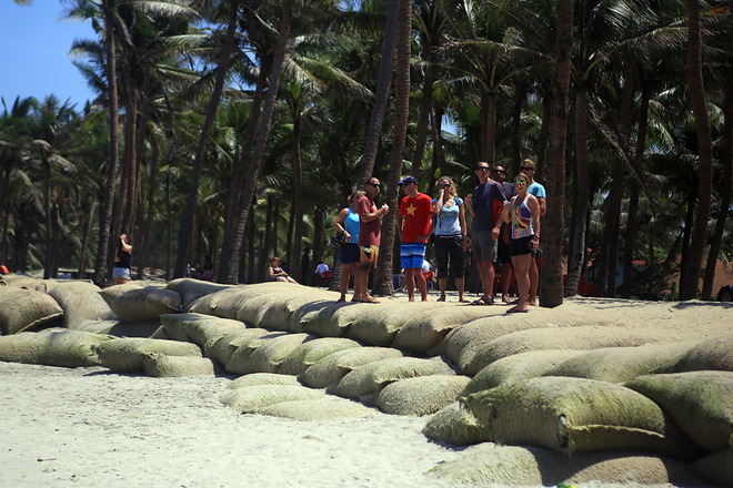 Nhiều du khách vẫn chưa biết việc bãi biển Cửa Đại được bồi trở lại. Họ ghé lại nơi này và bất ngờ khi thấy bãi biển đã dần có bãi cát trải dài. 