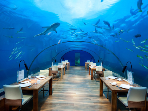 Nhà hàng dưới biển Ithaa ở đảo Conrad Maldives Rangali