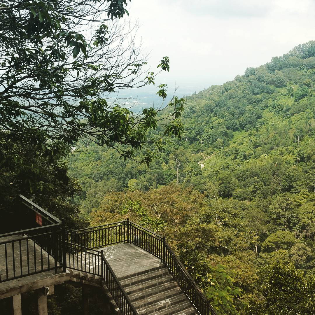 Những bậc thang đá lên chùa Bửu Quang với quang cảnh hai bên tuyệt đẹp. Ảnh: Huỳnh Thanh Liêm on Instagram