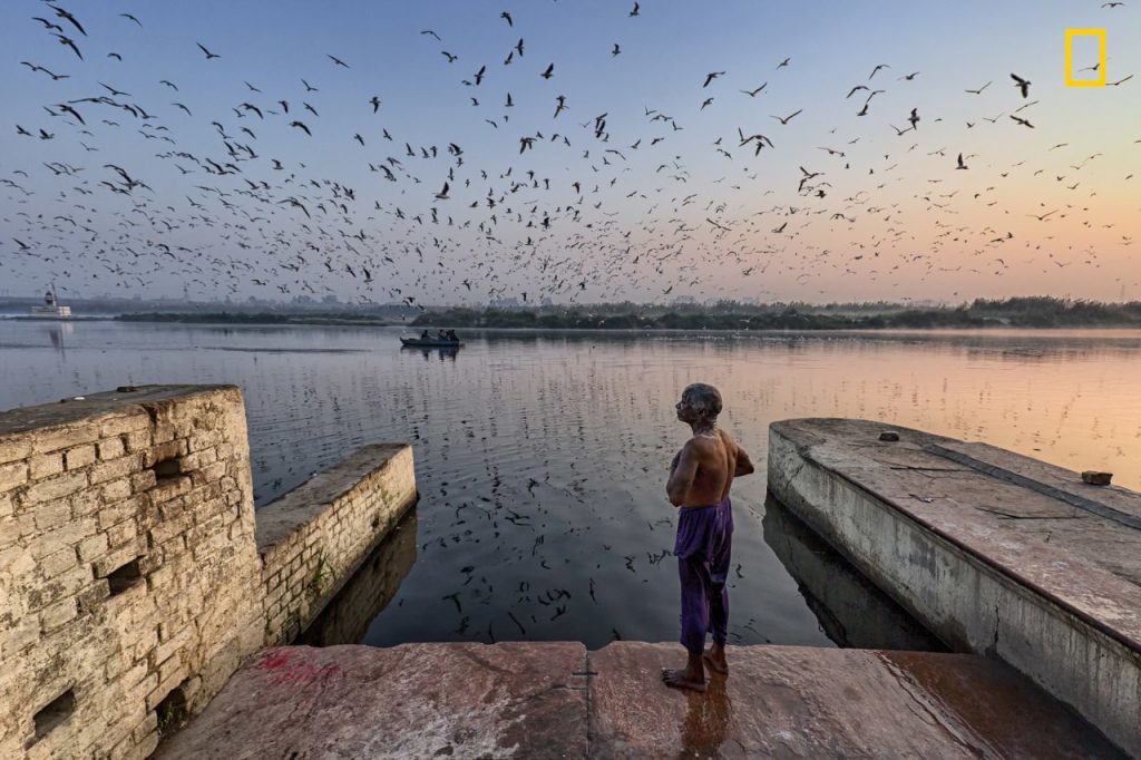 Một người đàn ông ở Delhi vừa tắm sông Yamuna vừa ngắm nhìn bầy chim trời bay lượn. Yamuna là một trong những con sông thiêng liêng nhất ở Ấn Độ, nhưng cũng là một trong những khu vực bị ô nhiễm nặng nhất - Ảnh: Yogesh Gupta 