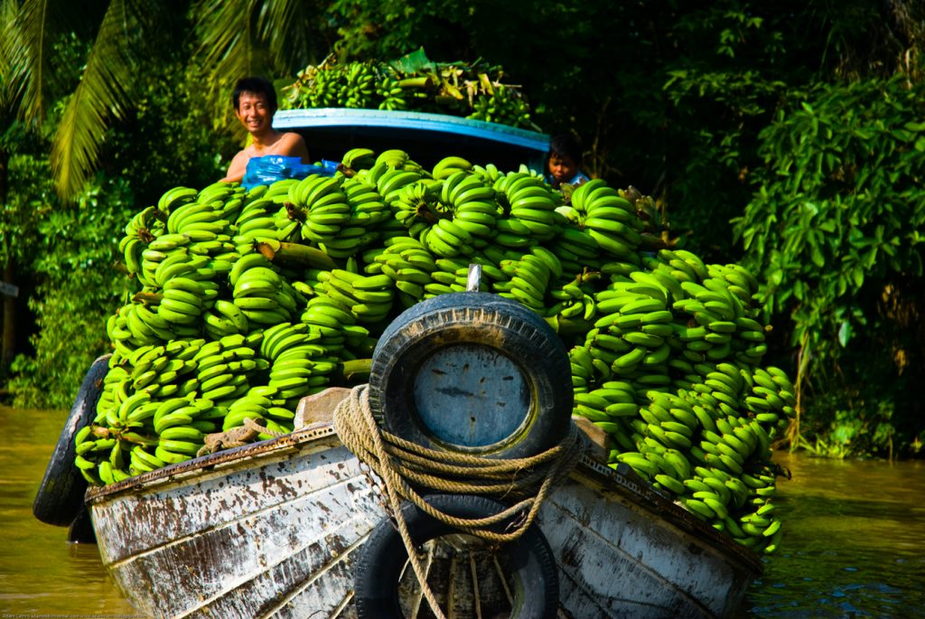Bananas on a boat at Phong Dien, in Vietnam's Mekong Delta