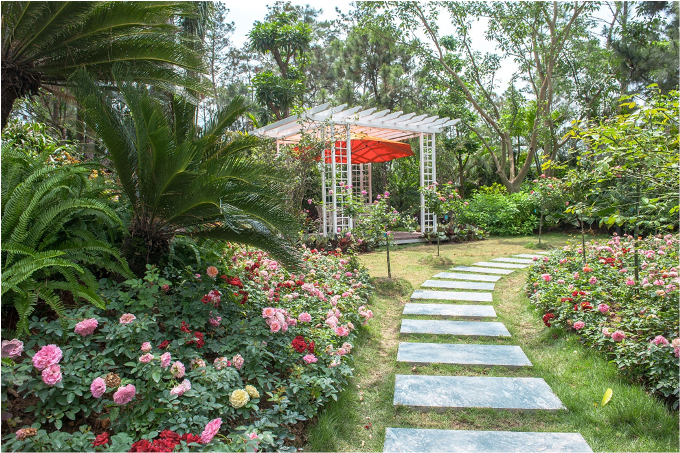 Luxury Skylake Villa là sản phẩm nghỉ dưỡng mới vừa được ra mắt tại Flamingo Đại Lải Resort vào đầu tháng 6. Khu biệt thự này thu hút du khách bởi thiết kế độc đáo và hàng nghìn bông hoa hồng bung nở rực rỡ.