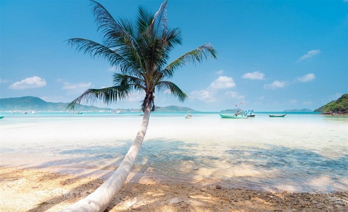Hòn Dầu với cây dừa mỹ miều đổ ra biển là điểm chụp hình của nhiều bạn