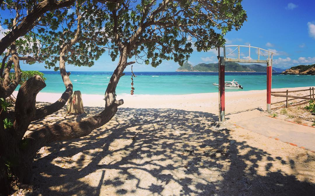Trên đảo hòn Cau có nguồn nước ngọt quanh năm, cùng các loài cây ăn quả như đu đủ, chuối, mảng cầu... và rất nhiều cây dừa cho quả ngọt mát, sẽ là món giải khát lý tưởng với du khách trong chuyến khám phá Hòn Cau Côn Đảo. Vanie on Instagram