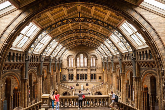 Đại sảnh chính của Bảo tàng Lịch sử Tự nhiên nhìn từ trên cao: đây chỉ là một trong rất nhiều những điểm thăm quan miễn phí của London 