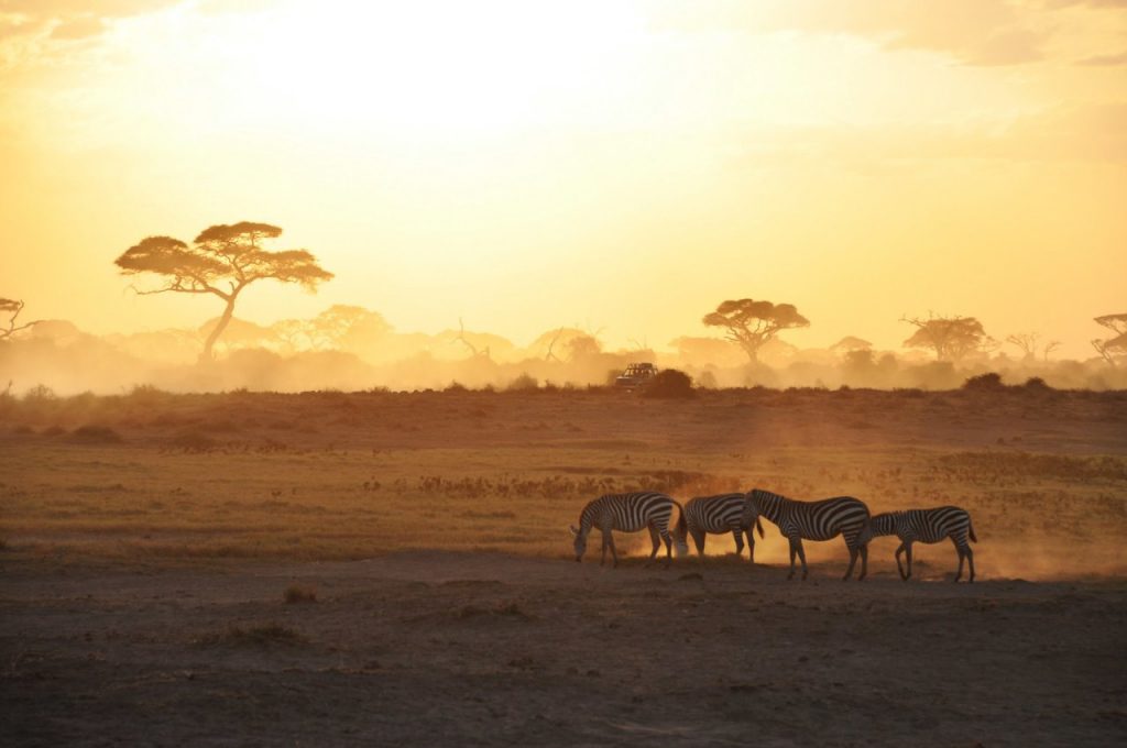 Bình minh trong Vườn Quốc gia Amboseli, Kenya - Ảnh: Getty Images 