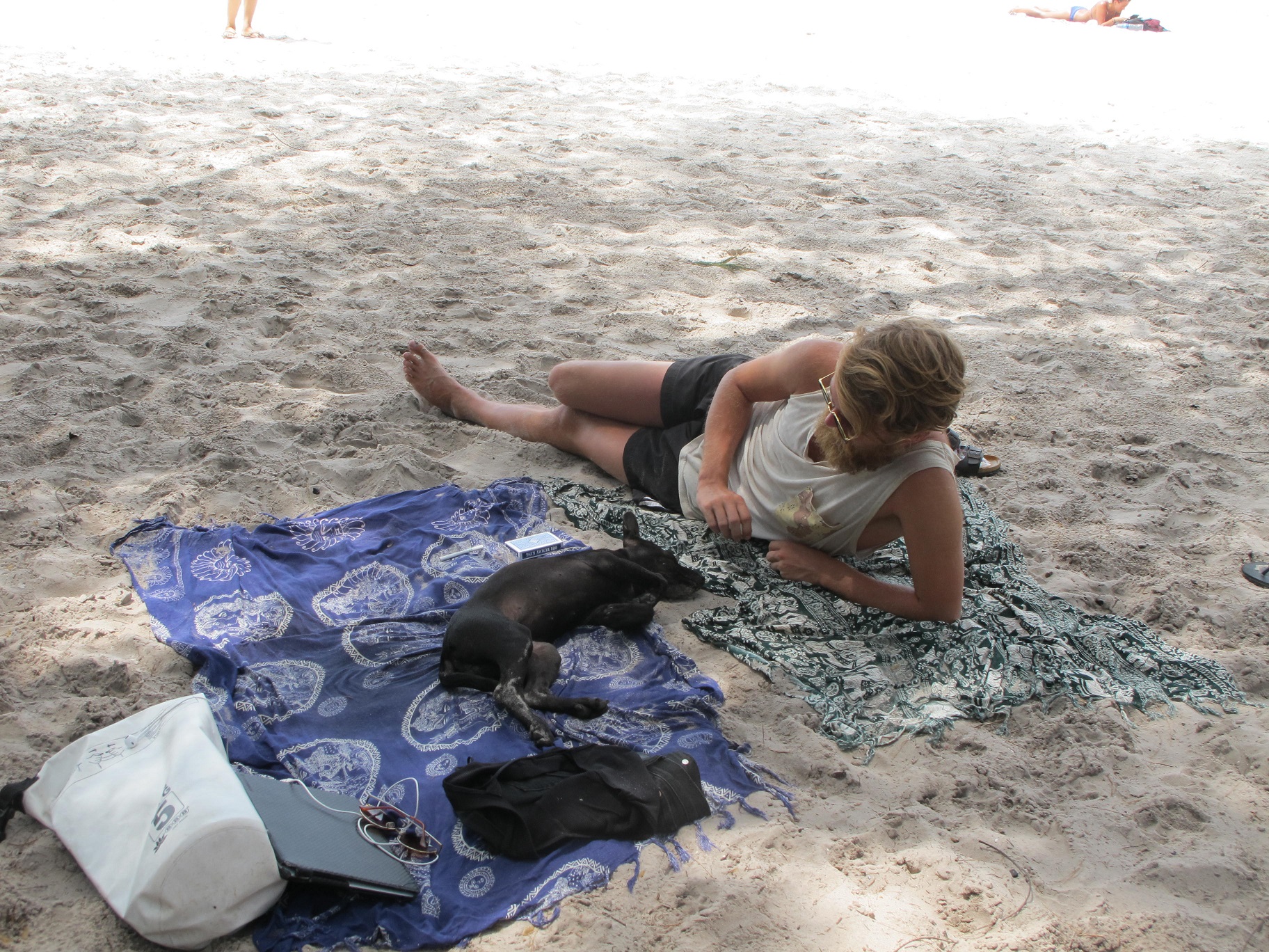 Một du khách đang chơi đùa với chú chó thân thiện trên đảo - Ảnh: K.N 